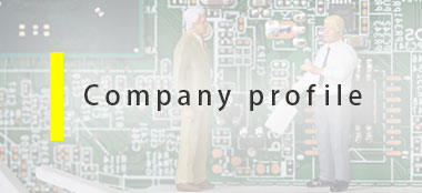 Company profile